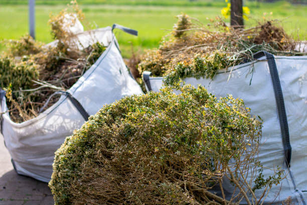 Best Shed Removal  in Quincy, MI