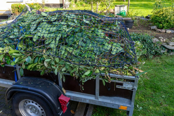 Moving and Downsizing Cleanouts in Quincy, MI